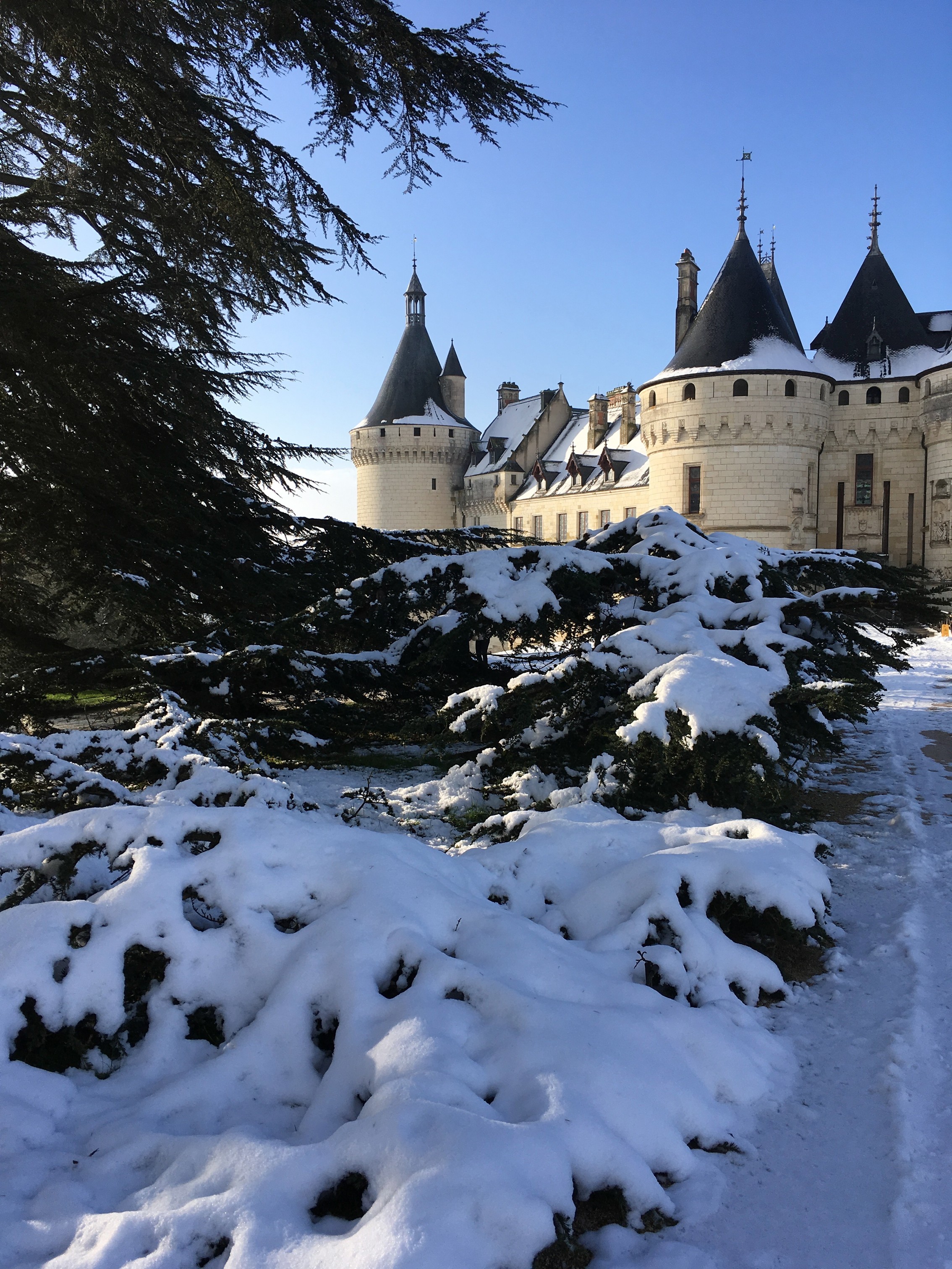 Domaine de Chaumont-sur-Loire_Rêves d'antan  ©DR.jpg